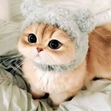 Фото клиента